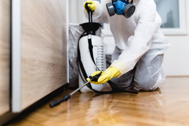 Best Wasp Removal Services  in Plant City, FL