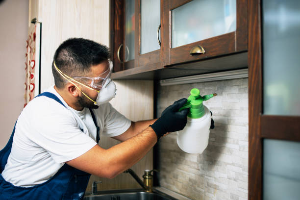 Best Pest Removal Services  in Plant City, FL