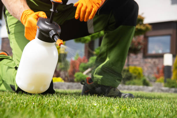 Best Bed Bug Extermination  in Plant City, FL