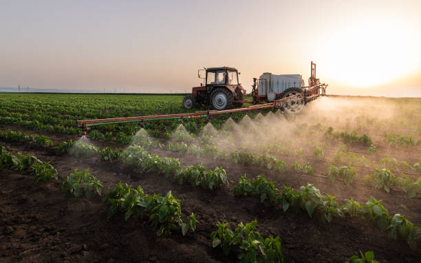 Best Pest Prevention Services  in Plant City, FL