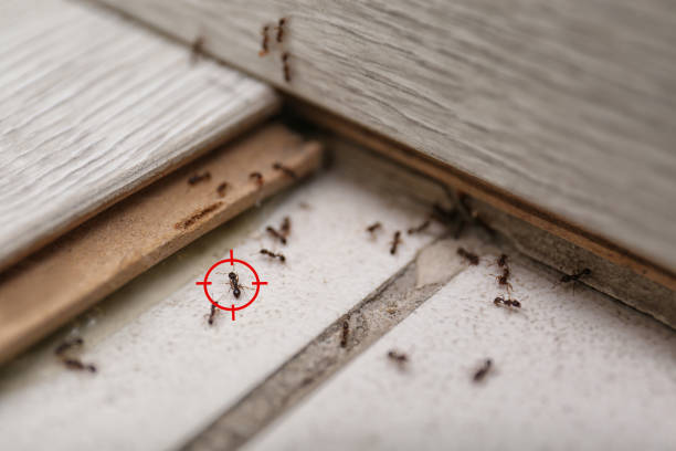 Best Commercial Pest Control Services  in Plant City, FL