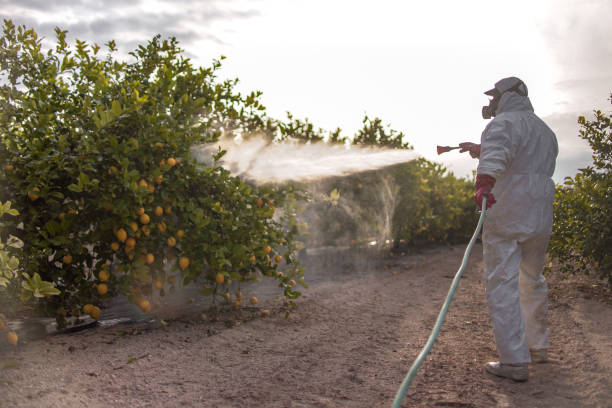 Best Local Pest Control Services  in Plant City, FL