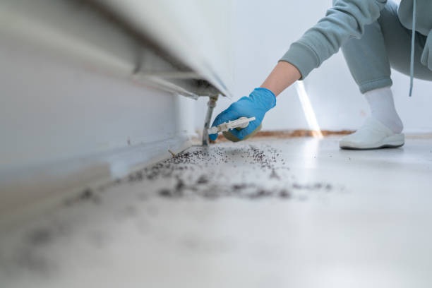 Best Pest Control Near Me  in Plant City, FL