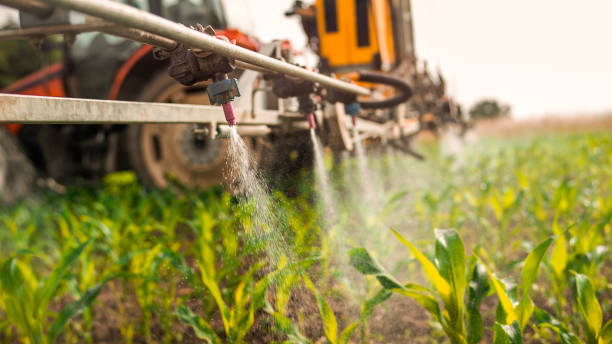 Best Pest Prevention Services  in Plant City, FL